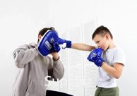 Boxing set #7 (paw and gloves) Item: 21536