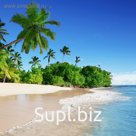 Фотообои Отпуск 2,7х2,7 м (из 3 листов)