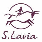 66-Х №330 Портмоне