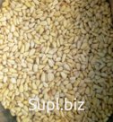 Очищенный кедровый орех 23 кг