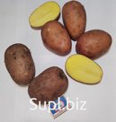 Картофель фермерский
