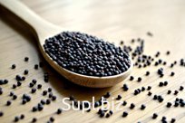 Горчица черная
