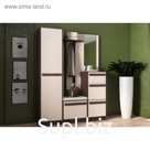 Прихожая ПР-11 с зеркалом 2100х1600х400 Дуб Выбеленный/Венге