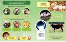 Кормовая добавка и удобрение для: животноводства, птицы, свиней, крс, растений, водоема. Хлорелла. Суспензия хлореллы