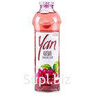 Компот YAN Кизиловый (930 мл)