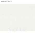 Обои флизелиновые ВВП  Импульс фон беж 888542 1,06х10м