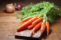 Морковь (свежая)