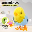 Заводная игрушка «Цыплёнок в яйце», МИКС