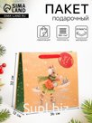 Пакет подарочный новогодний ламинированный «Зайка на льду», люкс, 36×32×12 см