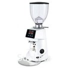 Fiorenzato f64 e coffee ground