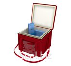 Термоконтейнер Safepack SP-5 PPU в сумке