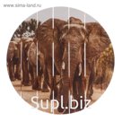 Картина на дереве "Слоны" 40х40 см
