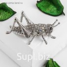 Брошь "Кузнечик", цвет радужный в серебре