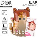 Воздушный шар фольгированный 28" «Котик в шапке», с подложкой