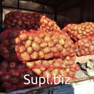 картофель