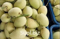 Свежее манго Кат Чу из Вьетнама