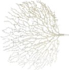 Decorative tree branch. Size: 650x420x10mm.