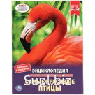 Энциклопедия Умка А4 "Самые красивые птицы", 48стр.