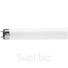 Лампа люминесцентная Philips TL-D G13 36W/54-765 SLV (длинная)
