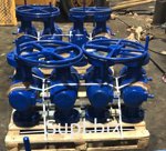 Задвижка ЗМС Ду50 Ру700