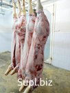 Свинина полутуши