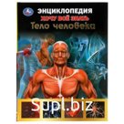 Тело человека