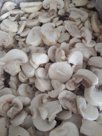 Замороженные грибы шампиньоны. Производство Беларусь. Доставка по всей РФ (от 10 тонн)