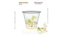 МОНСТЕРА ВАЙТ МОНСТЕР (WHITE MONSTER)