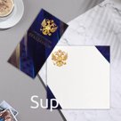 Открытка евро "С Профессиональным Праздником!" конгрев, герб, синий фон, 12,5х21,6 см