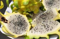 Драконовый Фрукт (жёлтый) Питхайя из Вьетнама