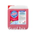 Remed for Lime Plex 5l Article: UT000005947