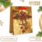Пакет подарочный, ламинированный, "Бантик",18 х 23 х 10 см