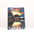 Пакет подарочный "Счастья", 33 х 42,5 х 10 см