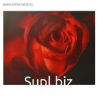 Холст "Роза" 40х50 см