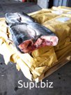 Кижуч потрошенный без головы блок