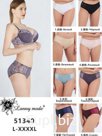Трусы Lanny mode арт. 51340 в ассортименте