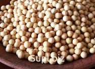 Горох-нут Chickpeas