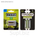Аккумулятор "Трофи", Ni-Mh, AA, HR6-2BL, 1.2В, 2100 мАч, блистер, 2 шт.