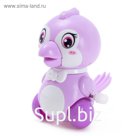 Заводная игрушка «Птичка», МИКС