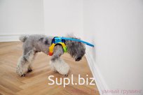 Обруч DogCare для слепой собаки S