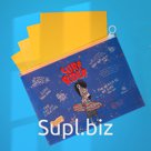 Папка пластиковая на молнии, А4, с принтом "SWAG", 180мкм
