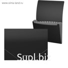 Папка-картотека на резинке A4, 12 отделов, ErichKrause Matt Classic, чёрная