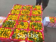 Асортиметь фруктов