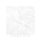 Керамическая плитка для пола Absolute
