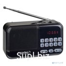Perfeo радиоприемник цифровой ASPEN FM+ 87.5-108МГц MP3 питание USB или 18650 черный i20 PF B4059