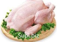 Мясо бройлера