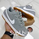 Nike SB Dunk  LOW model 1