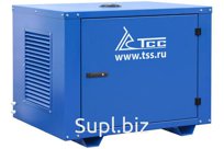 Бензогенератор TSS SGG 6000EHNA