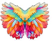 Wings #2 Article: MT08002