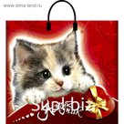 Пакет "Амурчик", полиэтиленовый с пластиковой ручкой, 38 х 35 см, 90 мкм